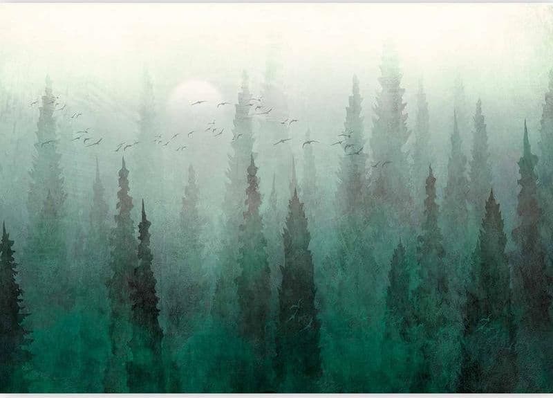 Carta da parati - Birds eye perspective - landscape of a green forest with trees in the mist in Carta da parati Collezione Casa - Trebisacce, commercioVirtuoso.it