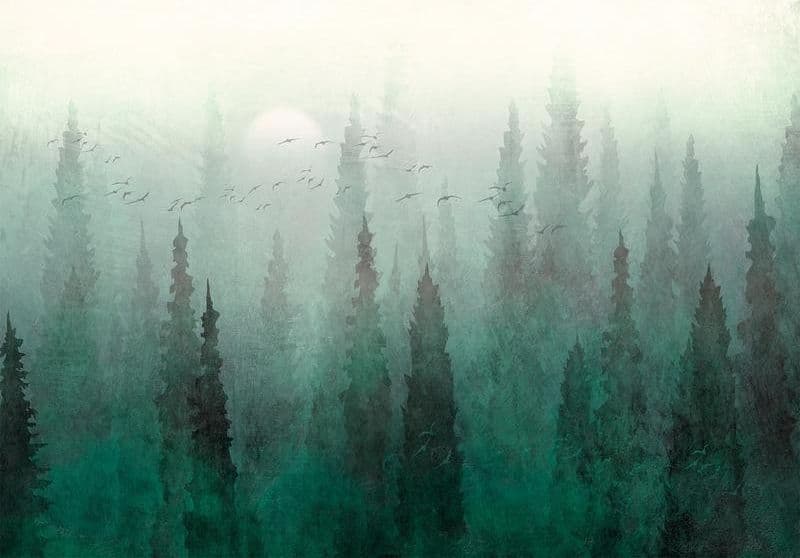 Carta da parati - Birds eye perspective - landscape of a green forest with trees in the mist in Carta da parati Collezione Casa - Trebisacce, commercioVirtuoso.it