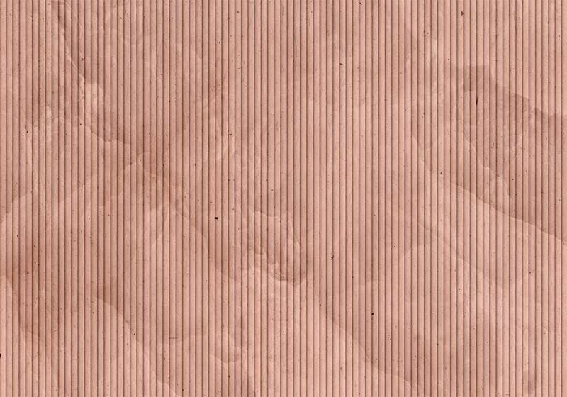 Carta da parati - Pink reed - solid background with textured vertical stripes with pattern in Carta da parati Collezione Casa - Trebisacce, commercioVirtuoso.it