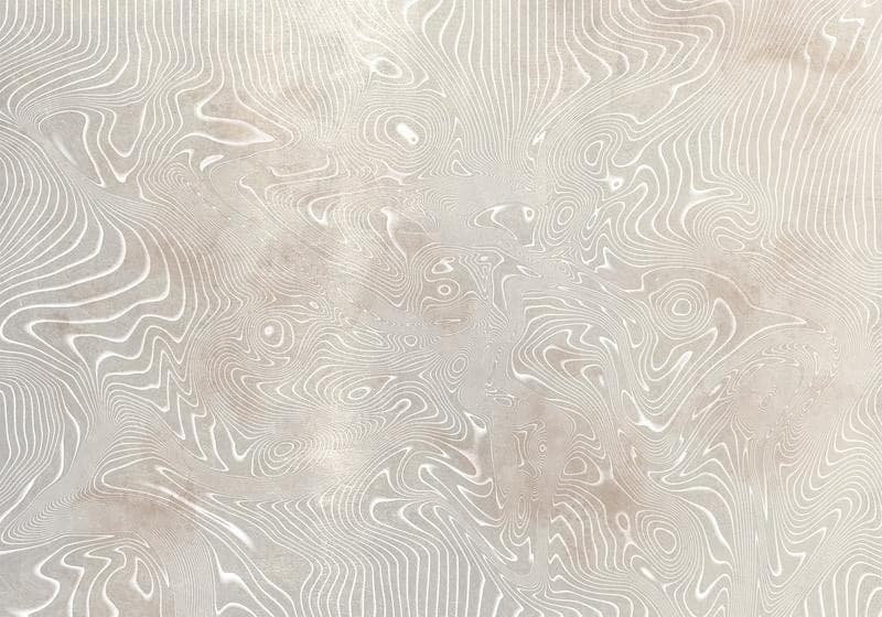 Carta da parati - Flowing shapes - abstract beige and white background in patterned compositions in Carta da parati Collezione Casa - Trebisacce, commercioVirtuoso.it