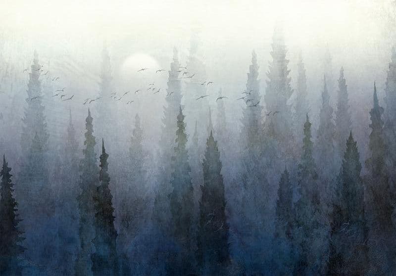 Carta da parati - Flight Over the Forest - Second Variant in Carta da parati Collezione Casa - Trebisacce, commercioVirtuoso.it