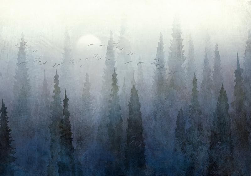 Carta da parati - Flight Over the Forest - Second Variant in Carta da parati Collezione Casa - Trebisacce, commercioVirtuoso.it