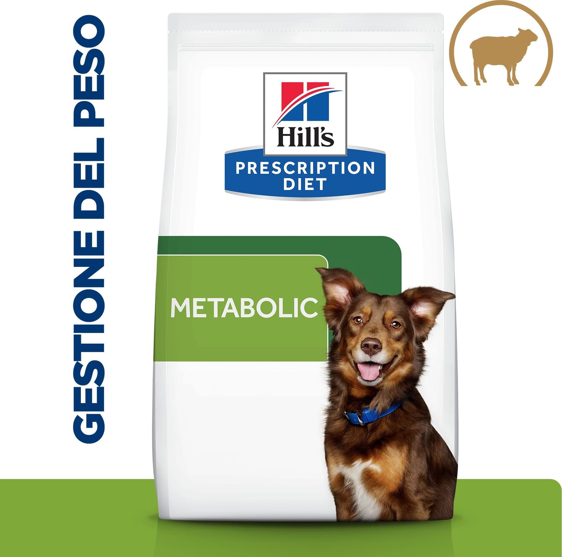 Hill's Prescription Diet Metabolic secco Cani Adulti agnello in Secco 101 Market - Poggibonsi, commercioVirtuoso.it