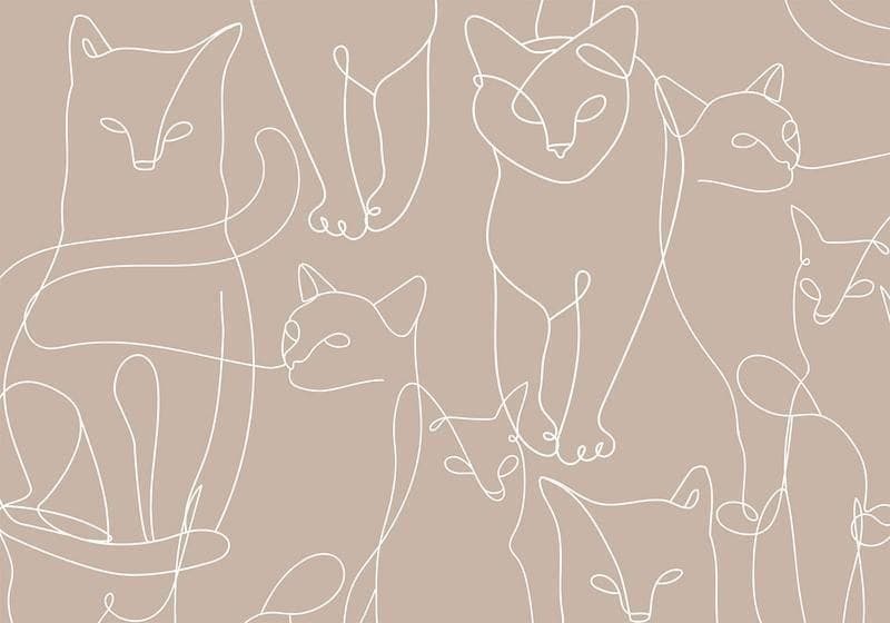 Carta da parati - Cat lineart - minimalist sketches of white cats on beige background in Carta da parati Collezione Casa - Trebisacce, commercioVirtuoso.it