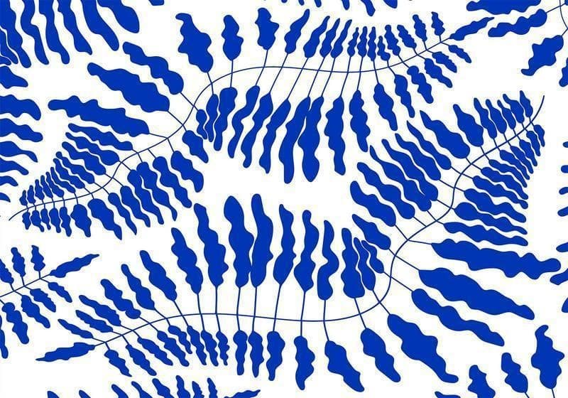 Carta da parati - Blue Fern in Carta da parati Collezione Casa - Trebisacce, commercioVirtuoso.it