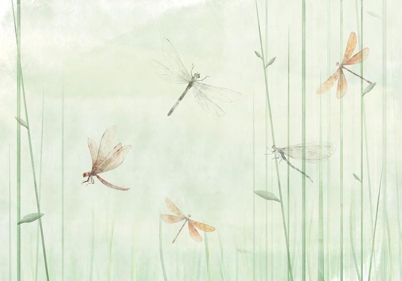 Carta da parati - Dragonflies in the Meadow in Carta da parati Collezione Casa - Trebisacce, commercioVirtuoso.it