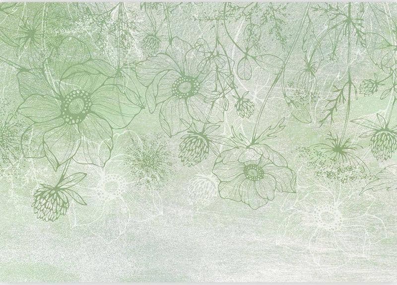 Carta da parati - Flowery meadow - nature with field flowers lineart on green background in Carta da parati Collezione Casa - Trebisacce, commercioVirtuoso.it