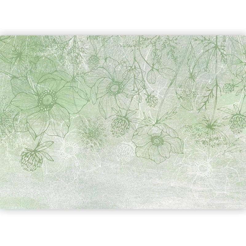 Carta da parati - Flowery meadow - nature with field flowers lineart on green background in Carta da parati Collezione Casa - Trebisacce, commercioVirtuoso.it