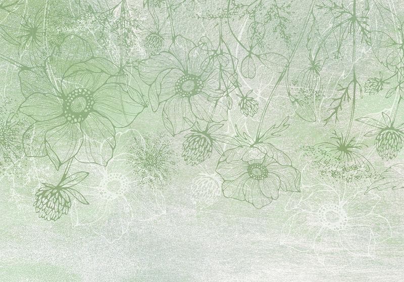 Carta da parati - Flowery meadow - nature with field flowers lineart on green background in Carta da parati Collezione Casa - Trebisacce, commercioVirtuoso.it