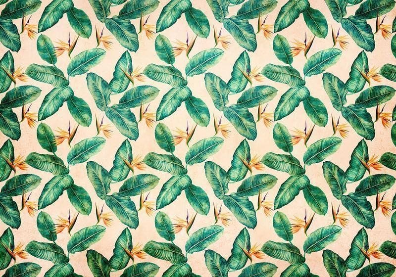 Carta da parati - Peace of Wild Bushes - Second Variant in Carta da parati Collezione Casa - Trebisacce, commercioVirtuoso.it