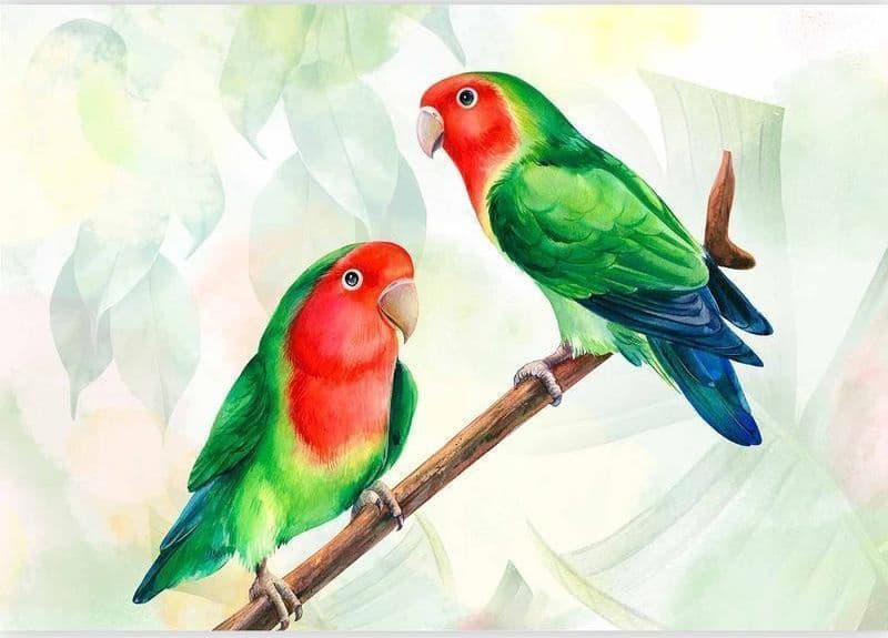 Carta da parati - Lovebirds in Carta da parati Collezione Casa - Trebisacce, commercioVirtuoso.it