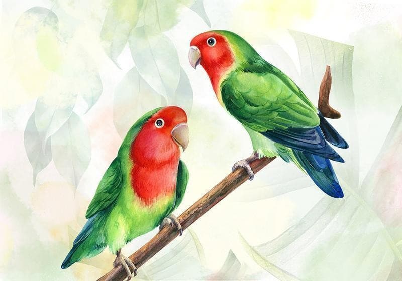 Carta da parati - Lovebirds in Carta da parati Collezione Casa - Trebisacce, commercioVirtuoso.it