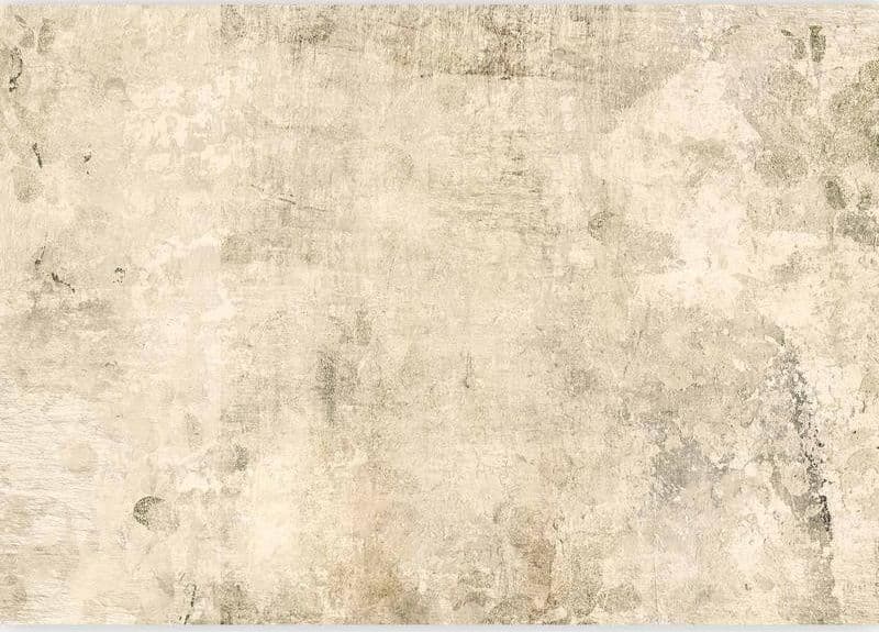 Carta da parati - Beige Tale - Third Variant in Carta da parati Collezione Casa - Trebisacce, commercioVirtuoso.it