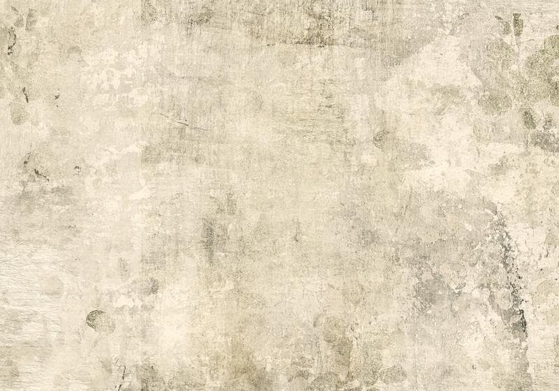 Carta da parati - Beige Tale - Third Variant in Carta da parati Collezione Casa - Trebisacce, commercioVirtuoso.it