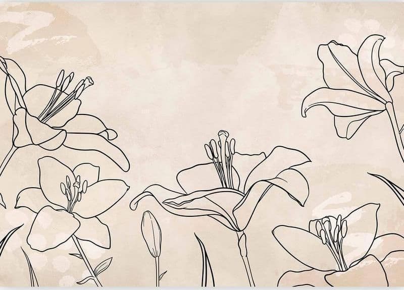 Carta da parati - Sketch of nature - minimalist lineart with lily flowers on a beige background in Carta da parati Collezione Casa - Trebisacce, commercioVirtuoso.it