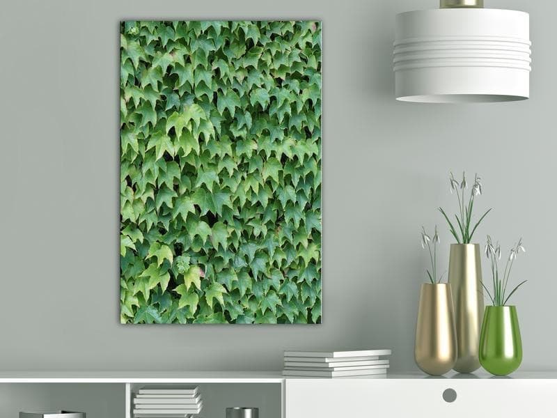 Quadro - Thick Ivy (1 Part) Vertical in Poster e stampe Collezione Casa - Trebisacce, commercioVirtuoso.it