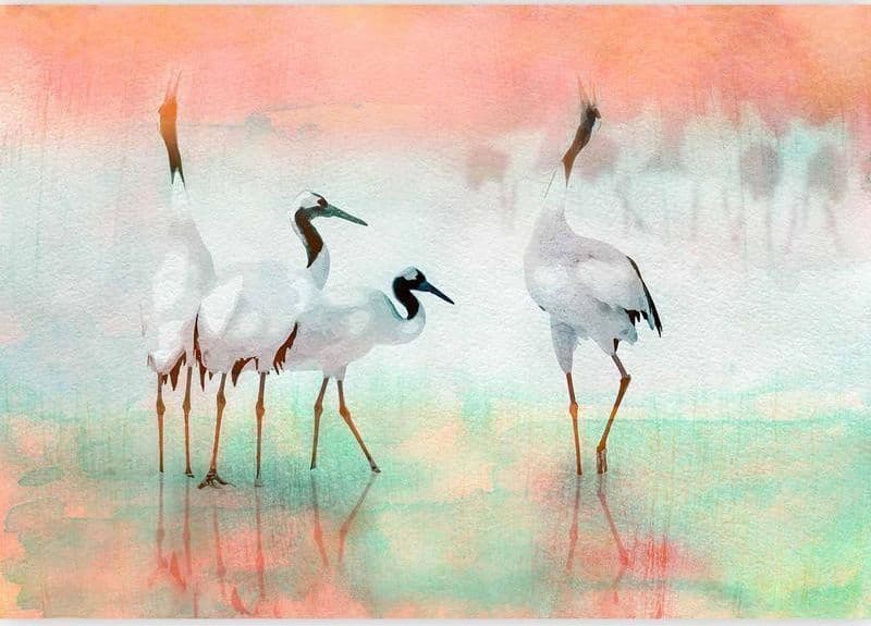 Carta da parati - Cranes in Pastels in Carta da parati Collezione Casa - Trebisacce, commercioVirtuoso.it