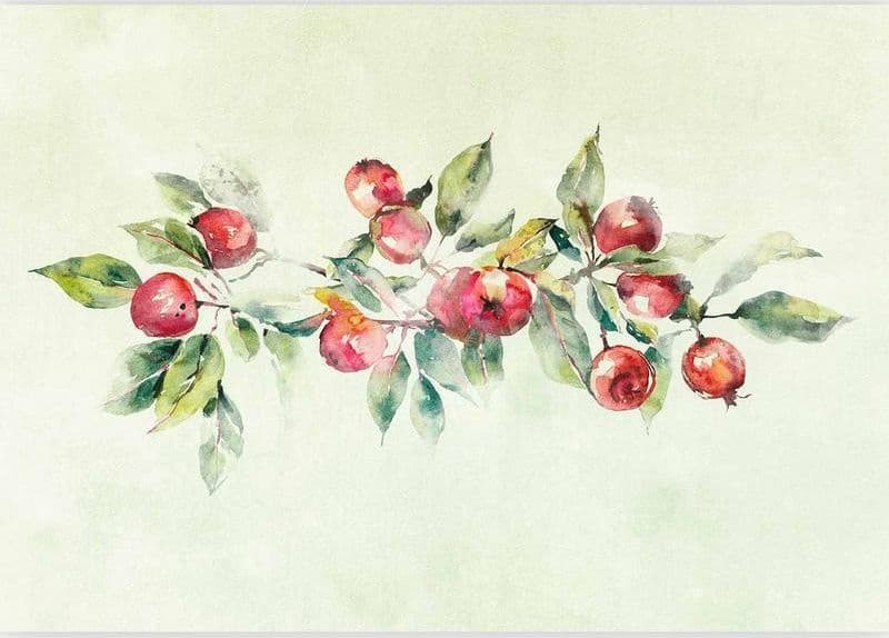 Carta da parati - Apple branch - delicate landscape with a plant and apples on a white background in Carta da parati Collezione Casa - Trebisacce, commercioVirtuoso.it