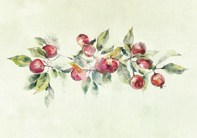 Carta da parati - Apple branch - delicate landscape with a plant and apples on a white background in Carta da parati Collezione Casa - Trebisacce, commercioVirtuoso.it