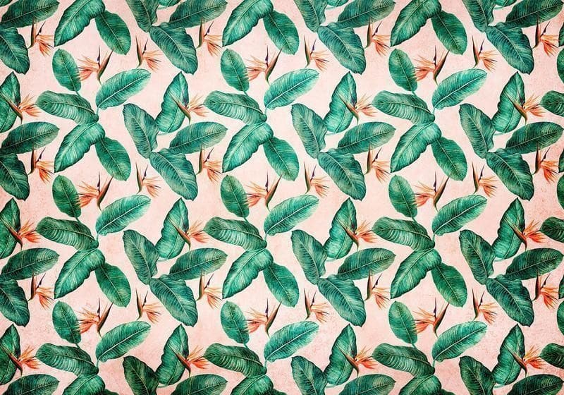 Carta da parati - Peace of Wild Bushes - Third Variant in Carta da parati Collezione Casa - Trebisacce, commercioVirtuoso.it