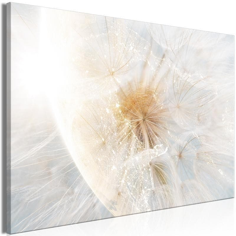 Quadro - Dandelion in the Sun (1 Part) Wide in Poster e stampe Collezione Casa - Trebisacce, commercioVirtuoso.it