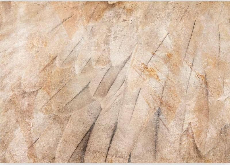 Carta da parati - Birds wings - minimalist close-up on beige feathers with pattern in Carta da parati Collezione Casa - Trebisacce, commercioVirtuoso.it