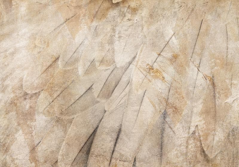 Carta da parati - Birds wings - minimalist close-up on beige feathers with pattern in Carta da parati Collezione Casa - Trebisacce, commercioVirtuoso.it
