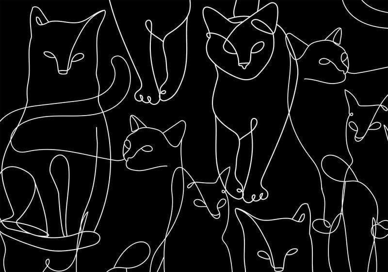 Carta da parati - Cat Habits - First Variant in Carta da parati Collezione Casa - Trebisacce, commercioVirtuoso.it