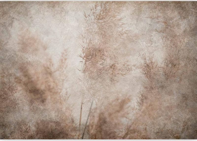 Carta da parati - Blown Away by the Wind in Carta da parati Collezione Casa - Trebisacce, commercioVirtuoso.it