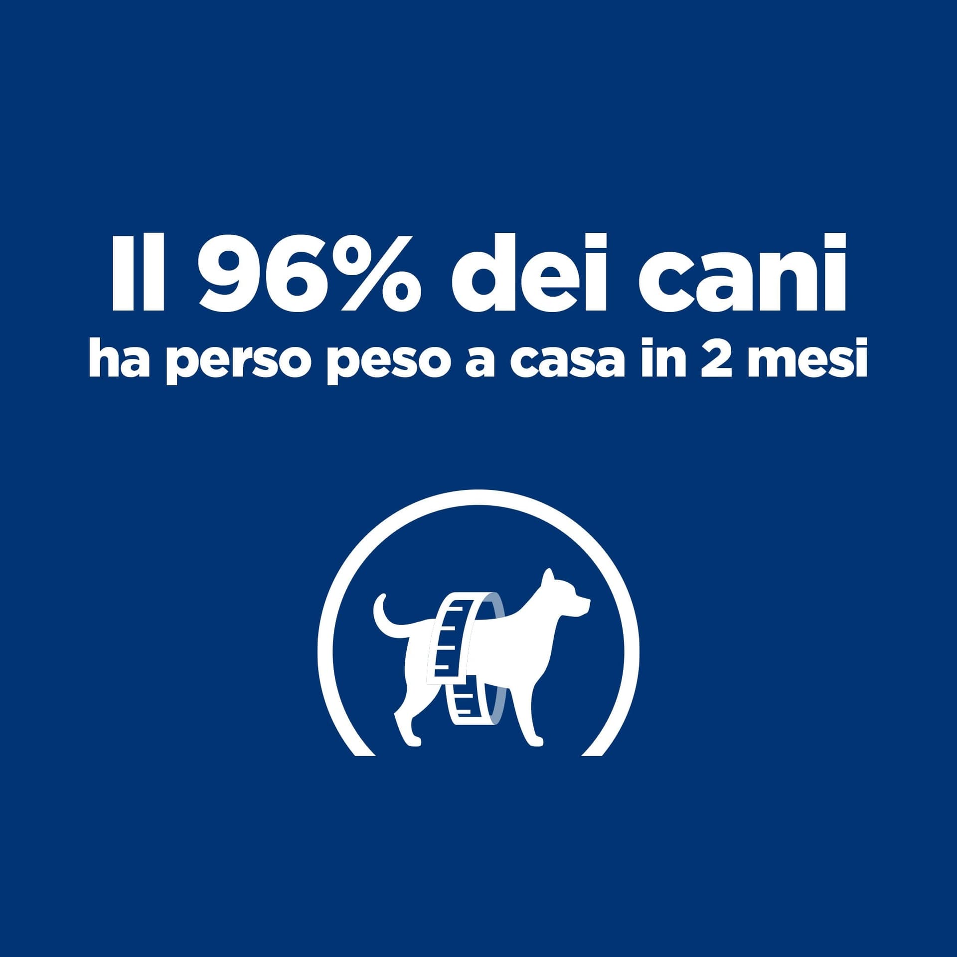 Hill's Prescription Diet Metabolic secco Cani Adulti Mini pollo in Secco 101 Market - Poggibonsi, commercioVirtuoso.it