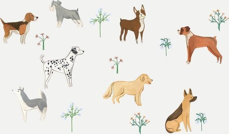Carta da parati - Doggies - a Subtle Illustration for Children in Carta da parati Collezione Casa - Trebisacce, commercioVirtuoso.it