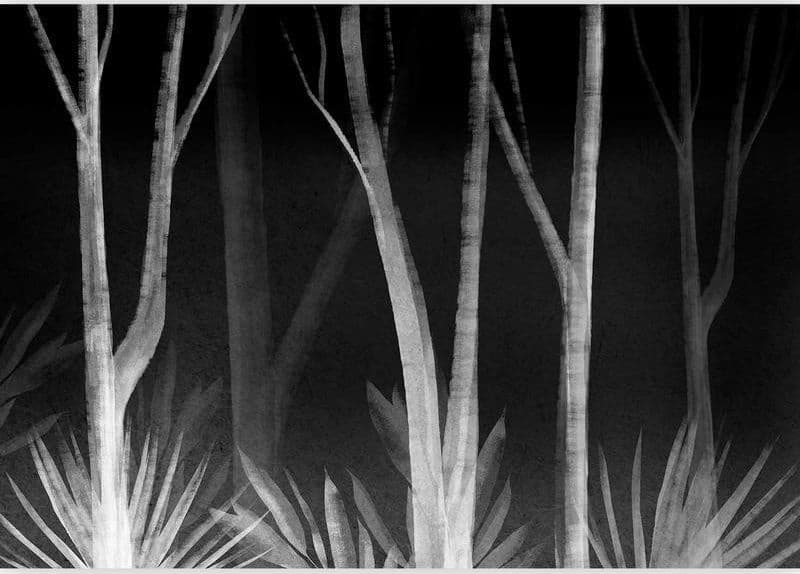 Carta da parati - Noise of the forest at night - minimalist landscape of white trees on a black background in Carta da parati Collezione Casa - Trebisacce, commercioVirtuoso.it