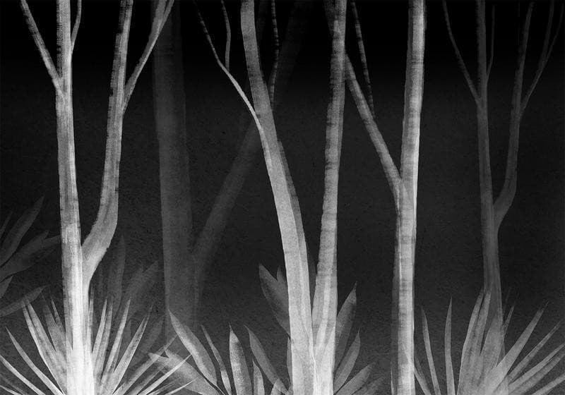 Carta da parati - Noise of the forest at night - minimalist landscape of white trees on a black background in Carta da parati Collezione Casa - Trebisacce, commercioVirtuoso.it