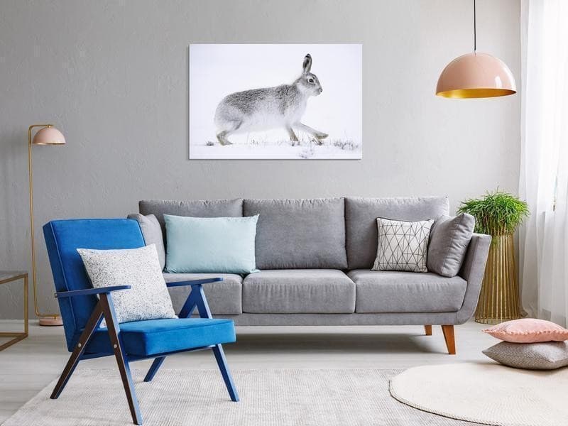 Quadro - Hare (1 Part) Wide in Dipinti Collezione Casa - Trebisacce, commercioVirtuoso.it
