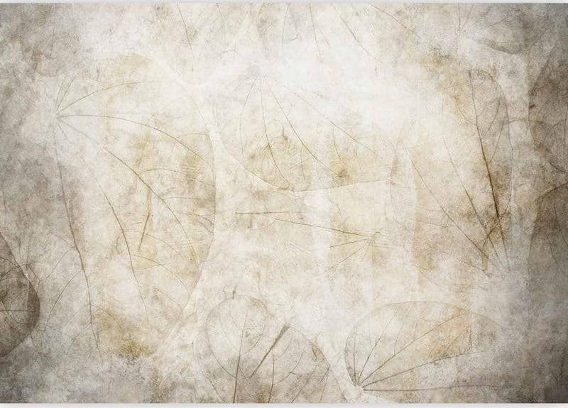 Carta da parati - Beige murmurs in Carta da parati Collezione Casa - Trebisacce, commercioVirtuoso.it