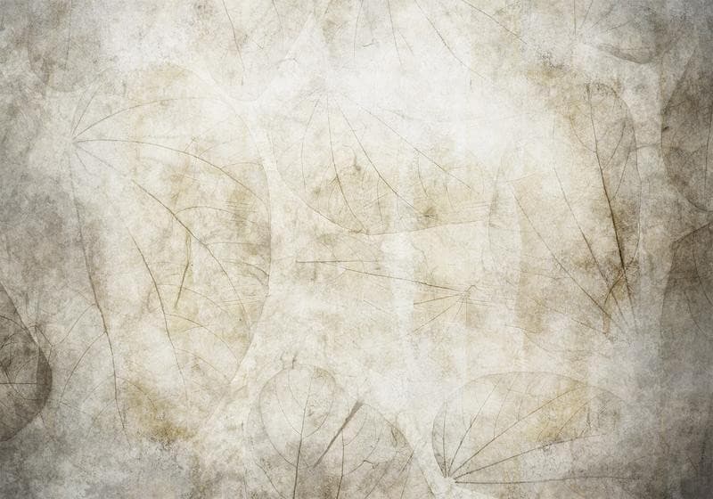 Carta da parati - Beige murmurs in Carta da parati Collezione Casa - Trebisacce, commercioVirtuoso.it