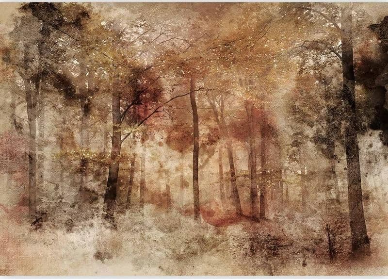Carta da parati - Lost in the woods in Carta da parati Collezione Casa - Trebisacce, commercioVirtuoso.it