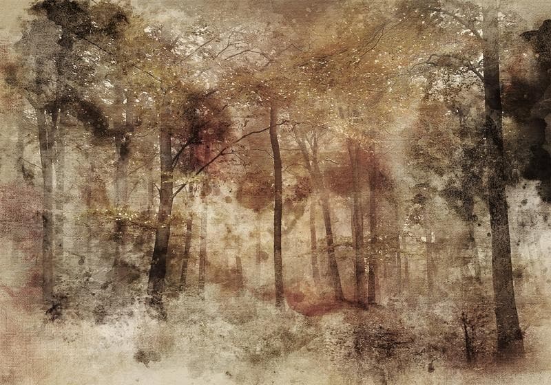 Carta da parati - Lost in the woods in Carta da parati Collezione Casa - Trebisacce, commercioVirtuoso.it
