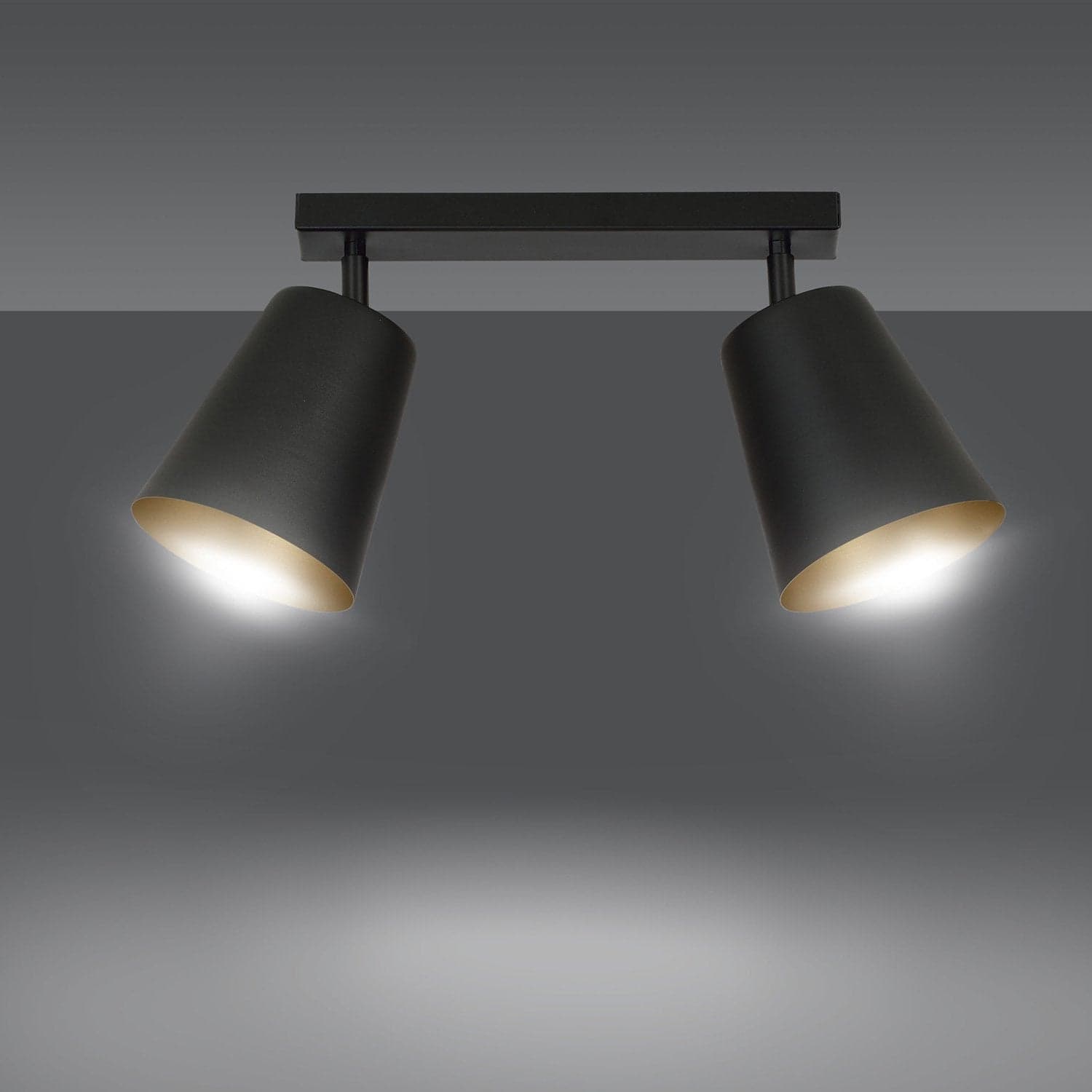 Plafoniera A Faretti 2 Luci Prism Con Coni In Acciaio Nero E Oro Interno in Faretti da soffitto LuceArt - Montecorvino Pugliano, commercioVirtuoso.it