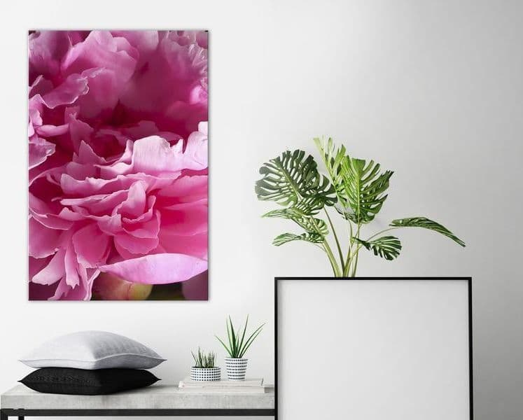 Quadro - Blossom of Beauty (1-part) - Pink Peony Flower Embraced by Nature in Poster e stampe Collezione Casa - Trebisacce, commercioVirtuoso.it