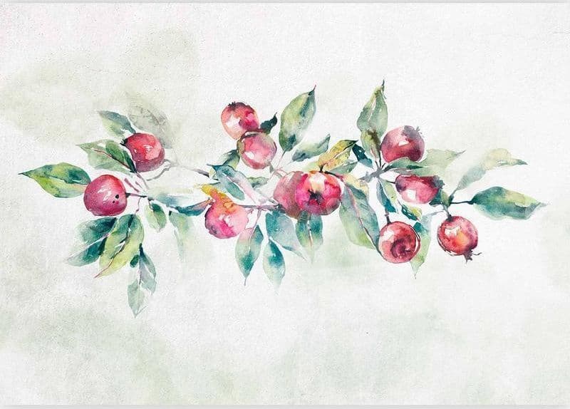 Carta da parati - Apple branch - landscape with a plant and red apples on a white background in Carta da parati Collezione Casa - Trebisacce, commercioVirtuoso.it