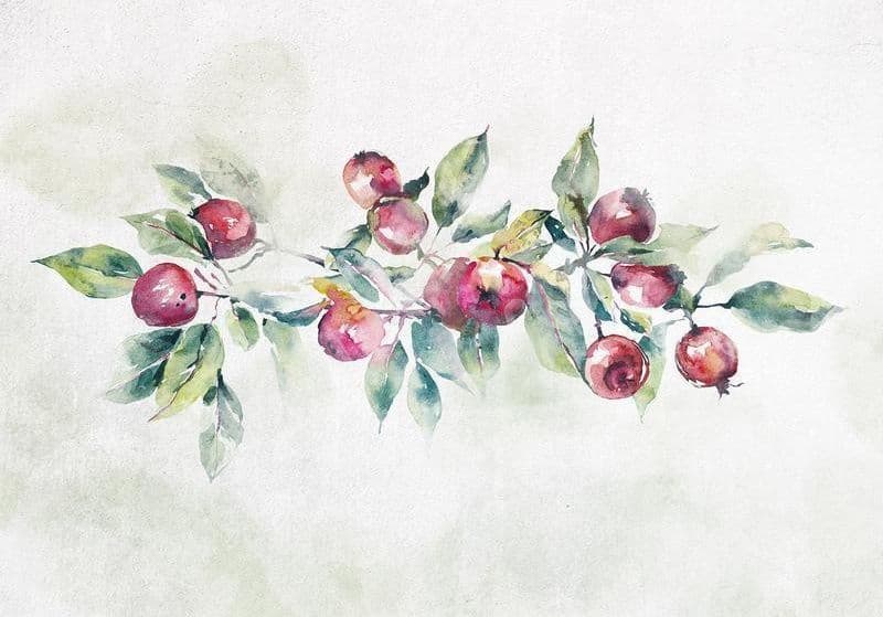 Carta da parati - Apple branch - landscape with a plant and red apples on a white background in Carta da parati Collezione Casa - Trebisacce, commercioVirtuoso.it