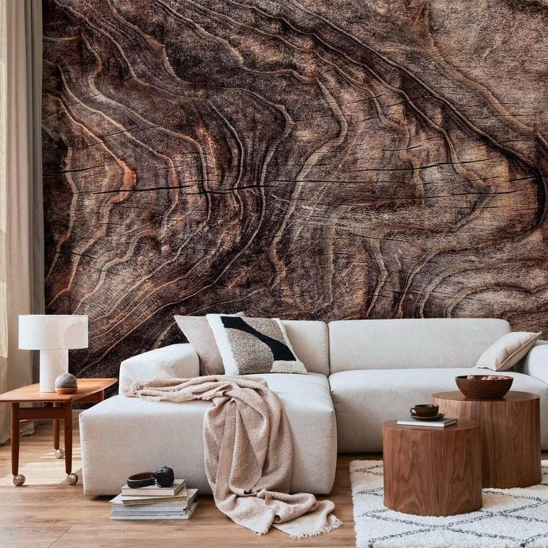 Carta da parati - Signs of the times - an abstract background with the wrinkled bark of an old tree in Carta da parati Collezione Casa - Trebisacce, commercioVirtuoso.it