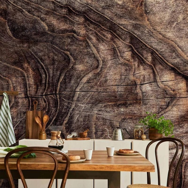 Carta da parati - Signs of the times - an abstract background with the wrinkled bark of an old tree in Carta da parati Collezione Casa - Trebisacce, commercioVirtuoso.it