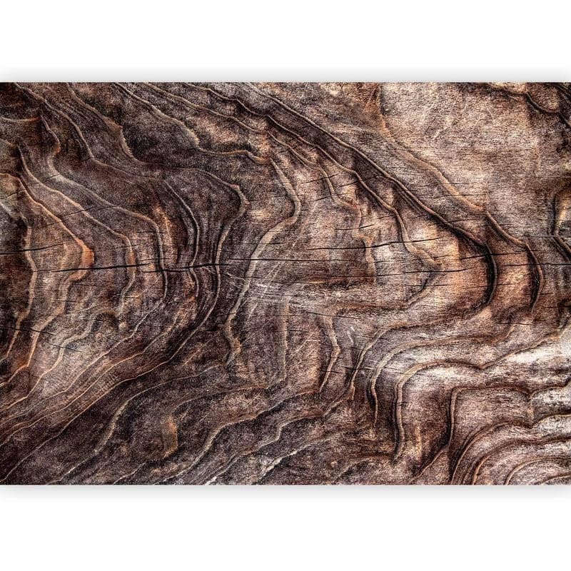 Carta da parati - Signs of the times - an abstract background with the wrinkled bark of an old tree in Carta da parati Collezione Casa - Trebisacce, commercioVirtuoso.it