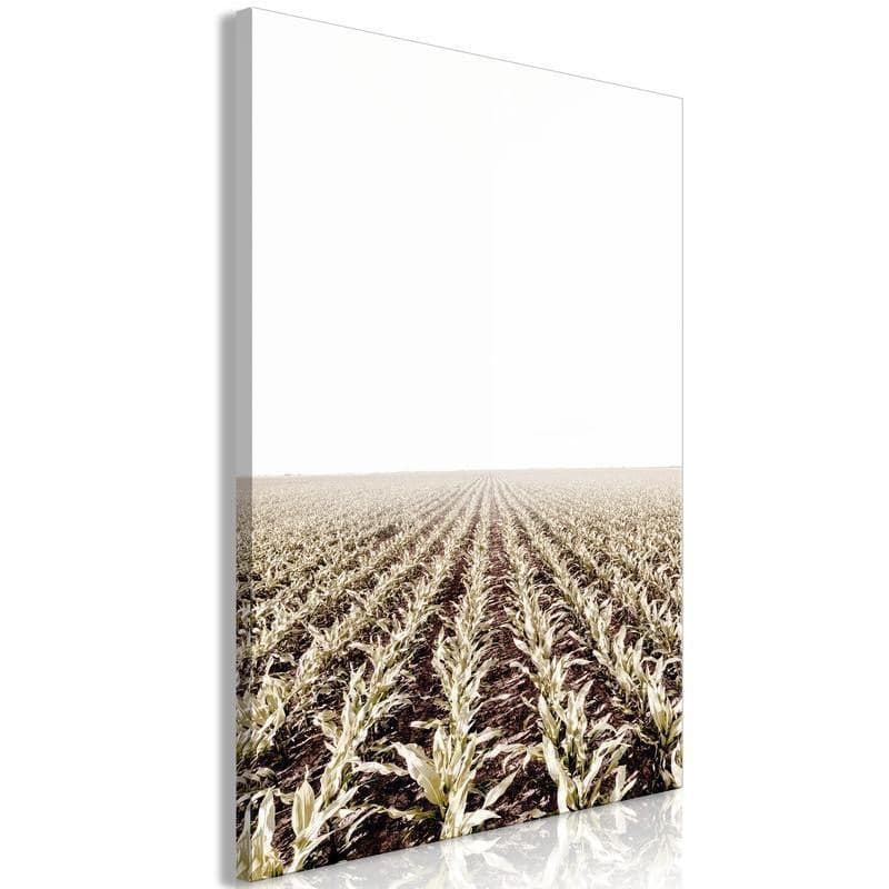 Quadro - Corn Field (1 Part) Vertical in Dipinti Collezione Casa - Trebisacce, commercioVirtuoso.it