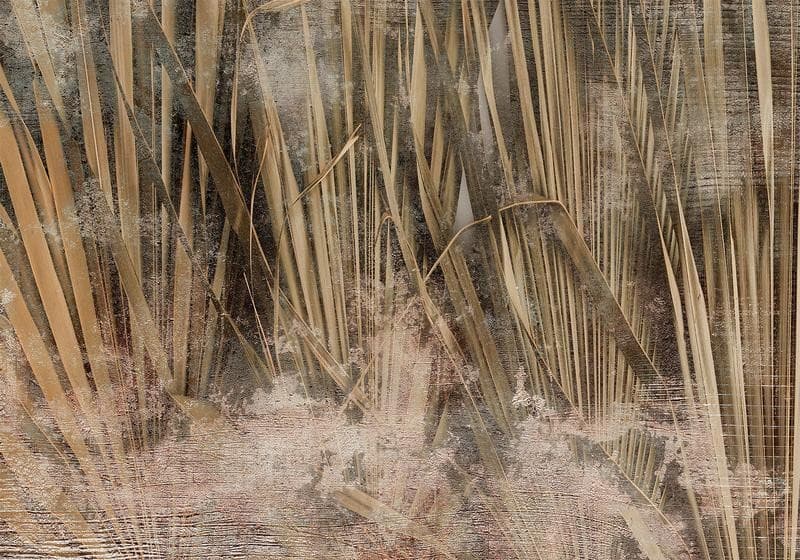 Carta da parati - Dry leaves - landscape of tall grasses in boho style with paint patterns in Carta da parati Collezione Casa - Trebisacce, commercioVirtuoso.it