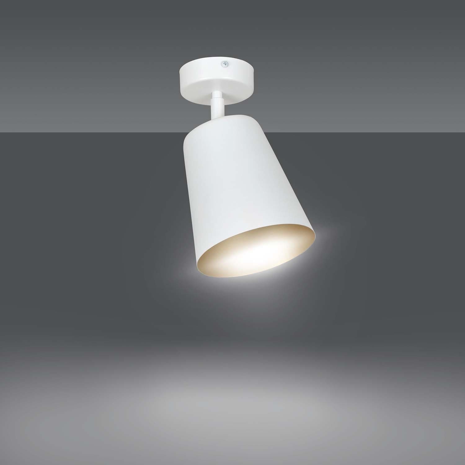 Faretto Spot 1 Luce Prism Con Cono In Acciaio Bianco E Oro Interno in Faretti da soffitto LuceArt - Montecorvino Pugliano, commercioVirtuoso.it