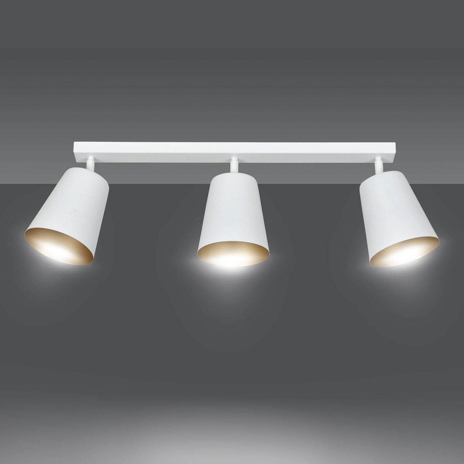 Plafoniera A Faretti 3 Luci Prism Con Coni In Acciaio Bianco E Oro Interno in Lampadari LuceArt - Montecorvino Pugliano, commercioVirtuoso.it