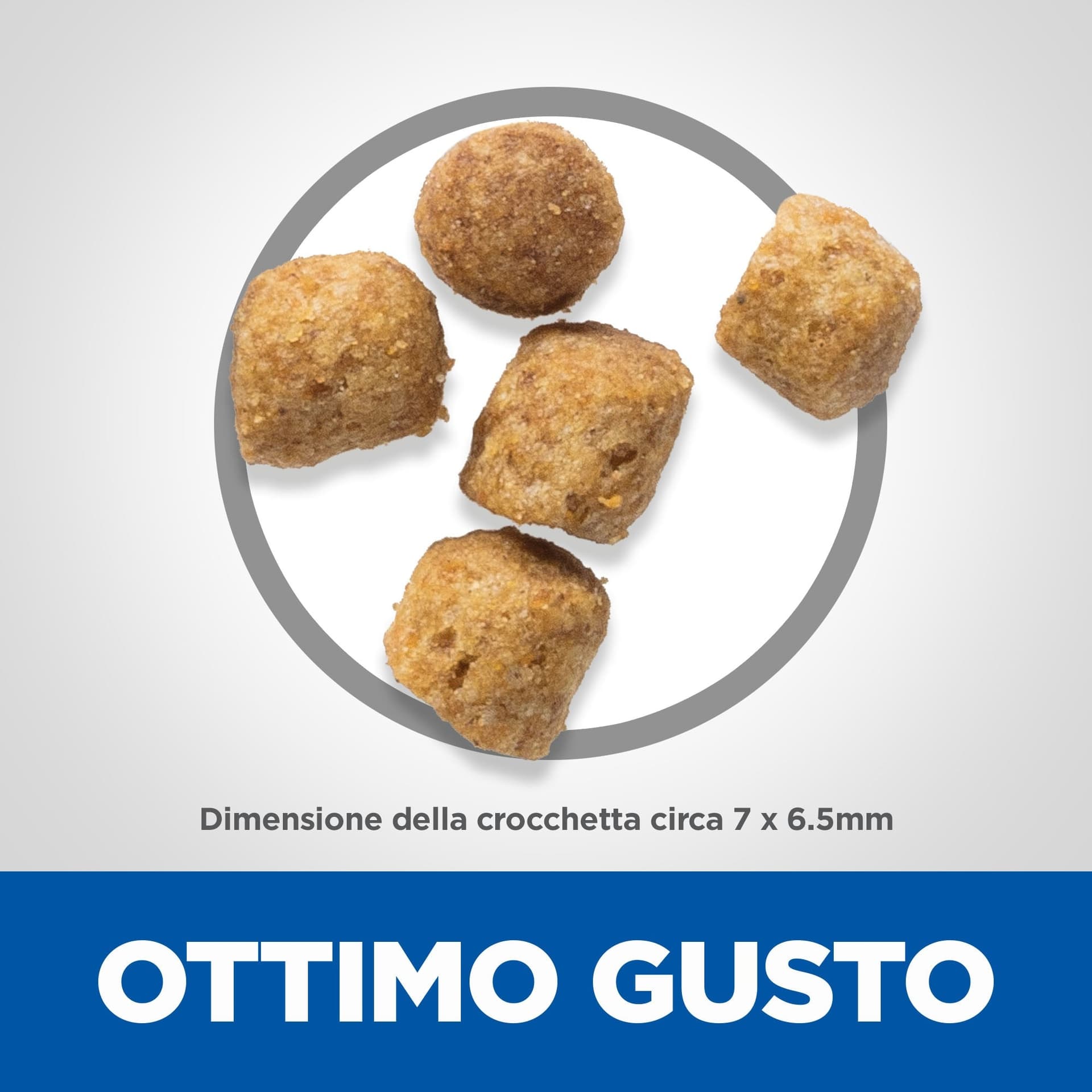 Hill's Light secco Gatti Adulti pollo 1,5 kg in Secco 101 Market - Poggibonsi, commercioVirtuoso.it